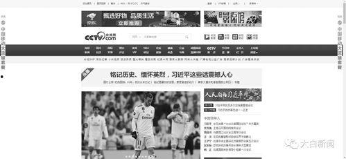 今日重点新闻爆料,今日焦点新闻深度解析 第3张 今日重点新闻爆料,今日焦点新闻深度解析 第3张